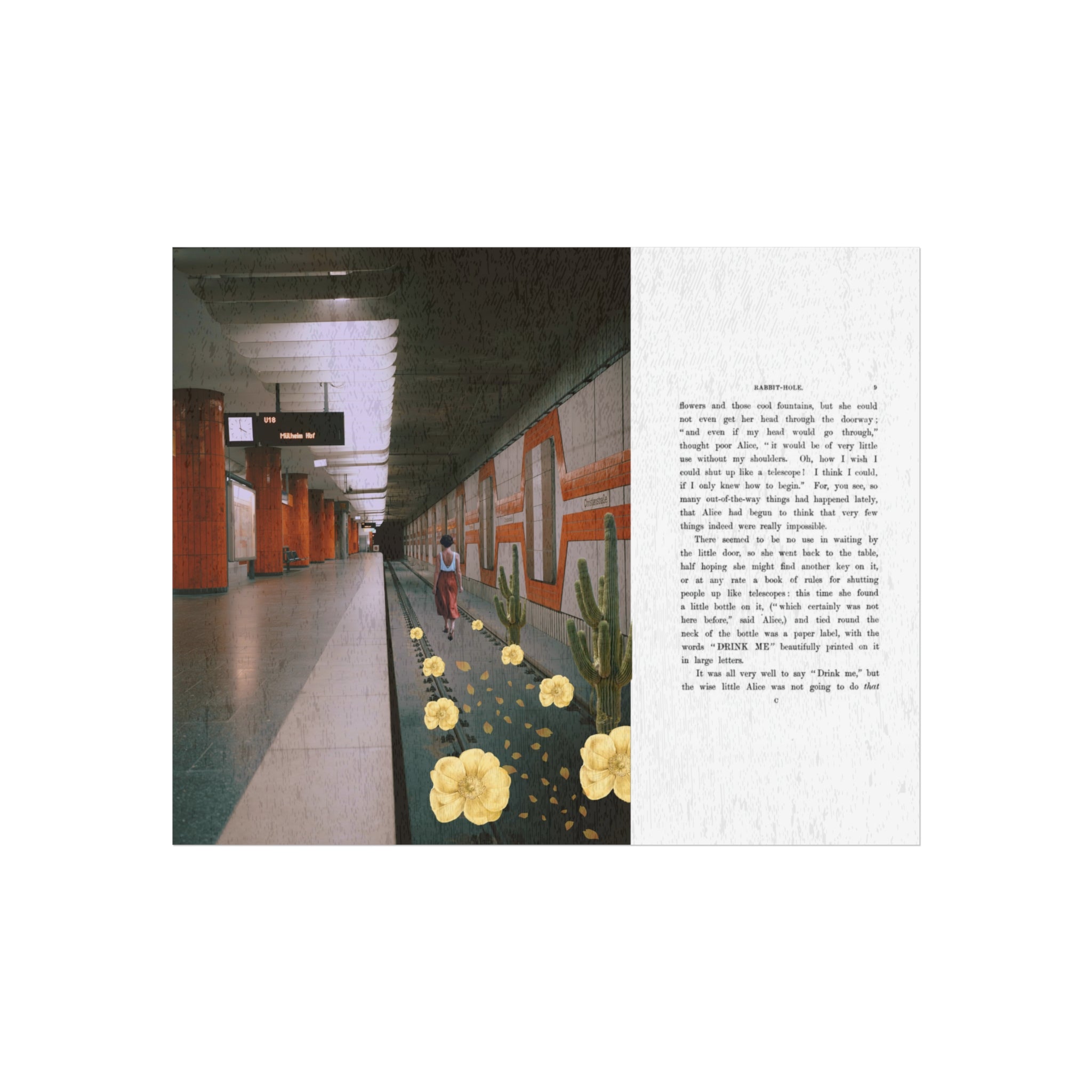 Contemporary Fine Art Posters for Home Decor, Urban Aesthetic Wall Art, Gift for Artists, Cactus Print, Nature-Inspired Decor