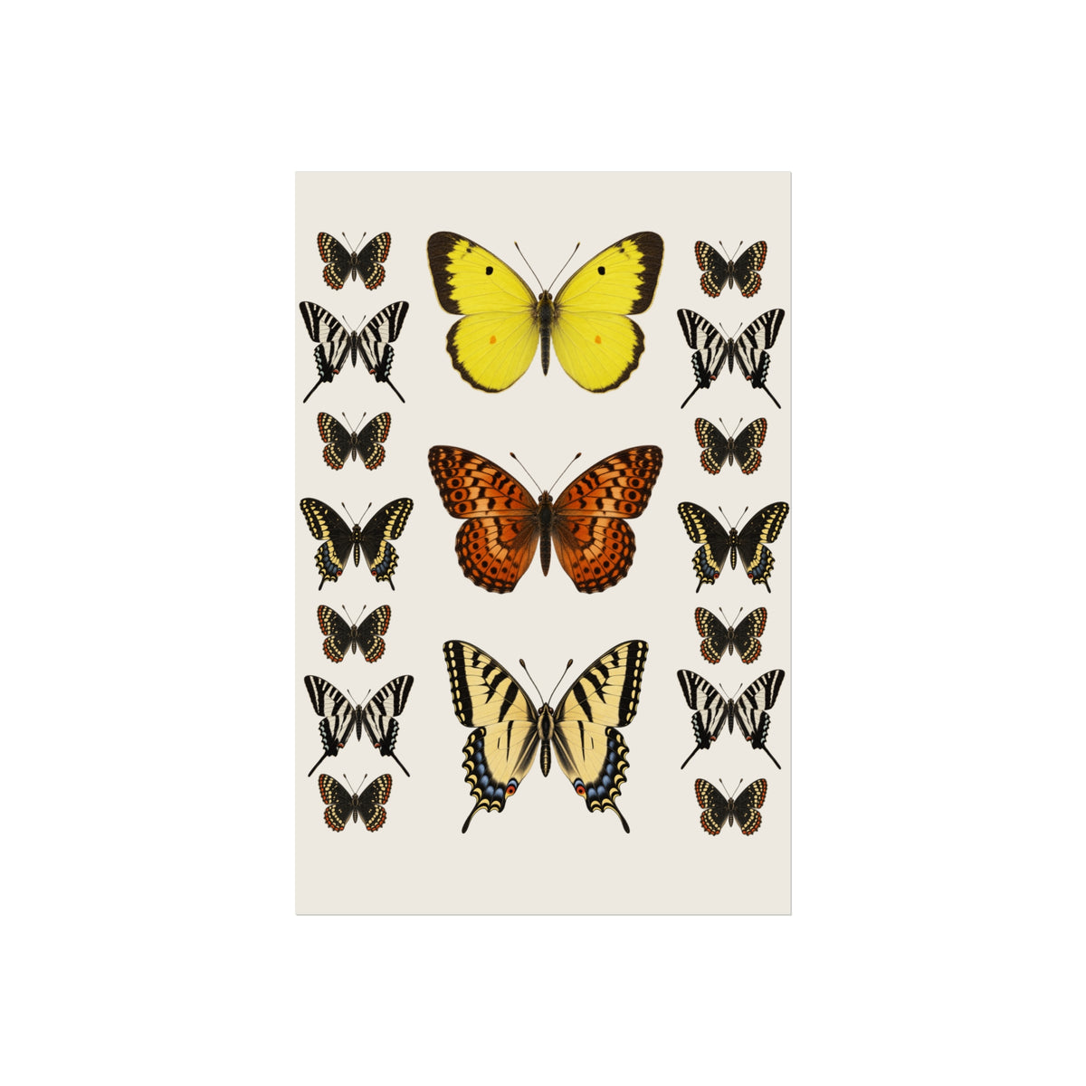 A vertical art print featuring various vintage-style butterfly illustrations in yellow, orange, black, and cream on an off-white background.