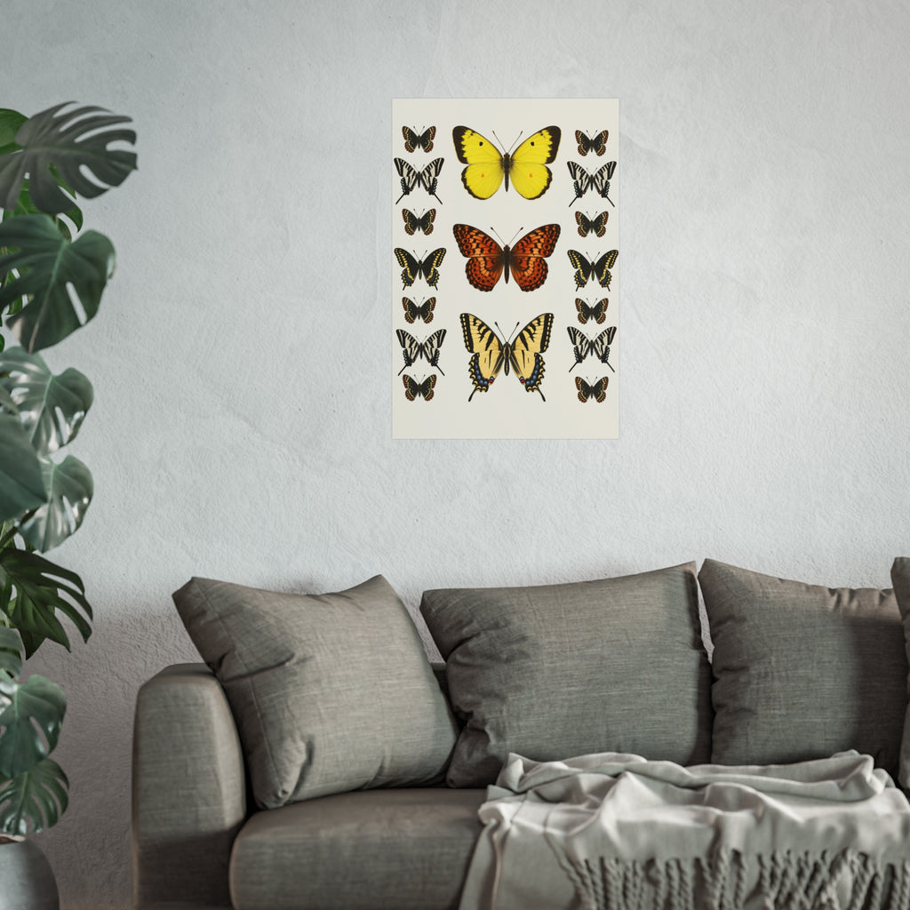 A framed butterfly art print hanging on a textured light gray wall above a gray sofa with pillows and a throw blanket, with a green plant visible on the left.