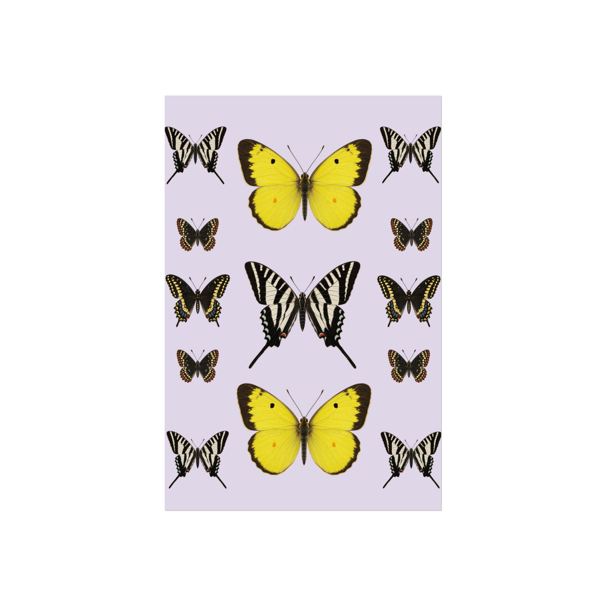 A vertical art print featuring various butterfly and moth illustrations on a light lavender background, centered on a solid white canvas.