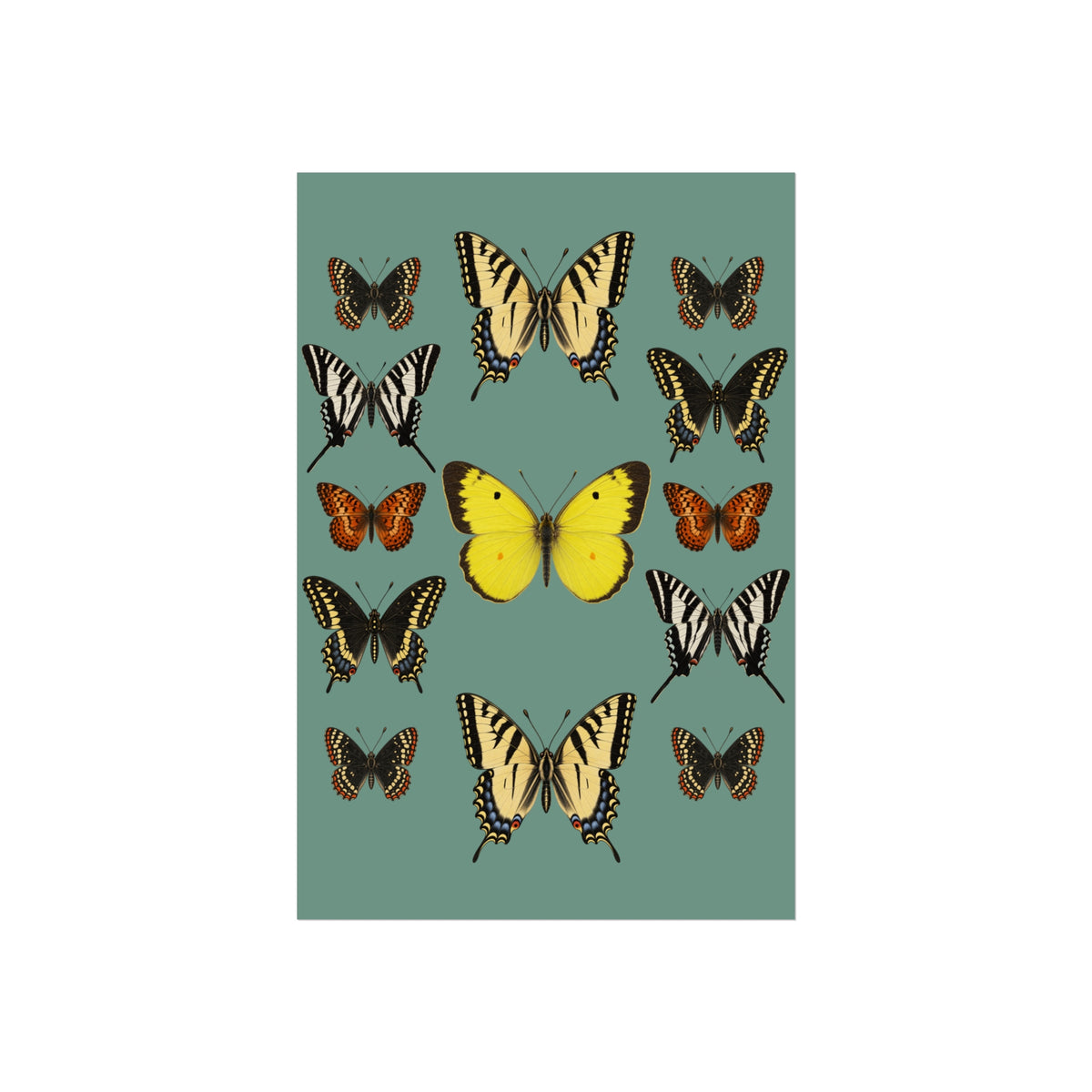 A vertical art print featuring a collection of illustrated butterflies on a muted sage green background, centered on a plain white canvas.