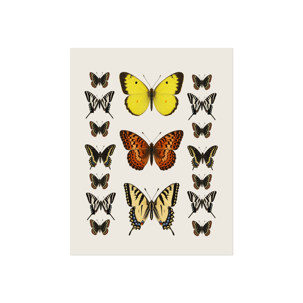 A vintage-style butterfly art print featuring three large detailed butterflies in yellow, orange, and cream with black markings, surrounded by many smaller matching butterflies, all centered on an off-white background.