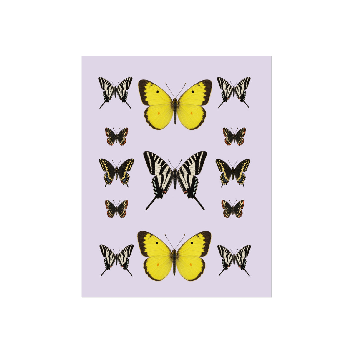 A sheet of butterfly stickers featuring two large yellow Swallowtail butterflies and multiple smaller striped Swallowtail and Zebra-like butterflies on a light lavender background.