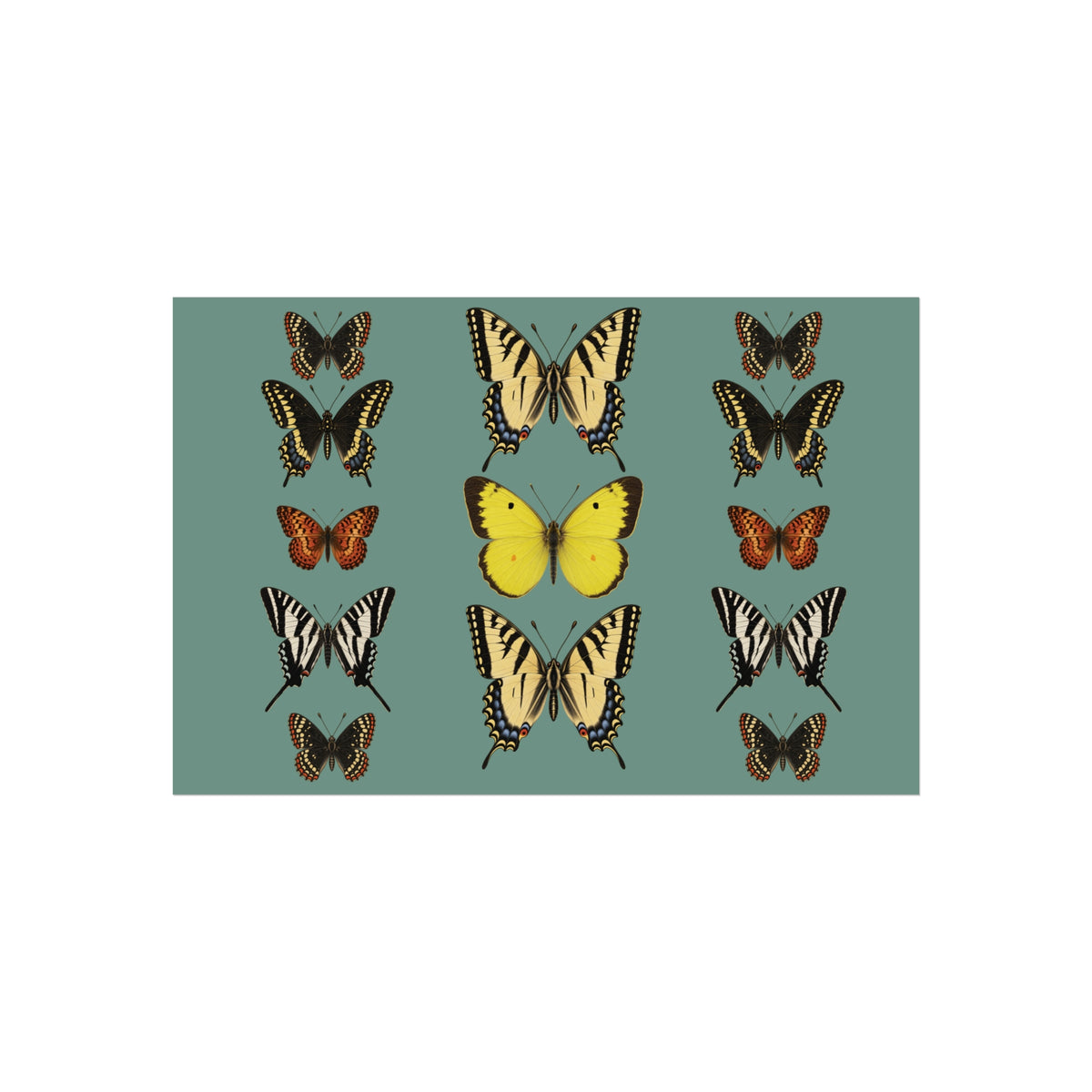 Butterflies Display Wall Art - Muted Blue